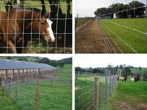 Grassland Fence - Buy Grassland Fence Product on Anping County Xinhai ...