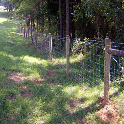 Grassland Fence - Buy Grassland Fence Product on Anping County Xinhai ...